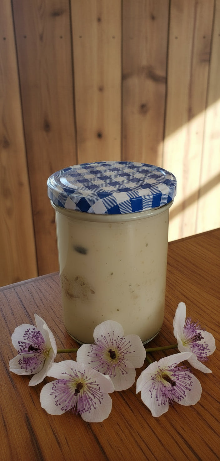 🍗Königsberger Klopse in Kapernsauce | Hausgemacht im Glas | Superfood – fein & ehrlich