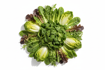 nur verscheidenen Blattsalate