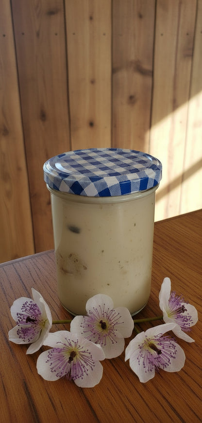 🍗Königsberger Klopse: Ein Klassiker in feiner Manufaktur-Qualität